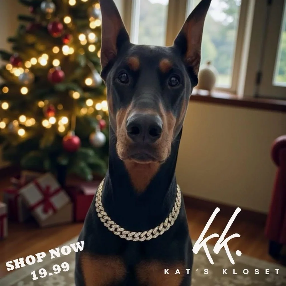 Silver Dog Chain - Picture 1 of 1